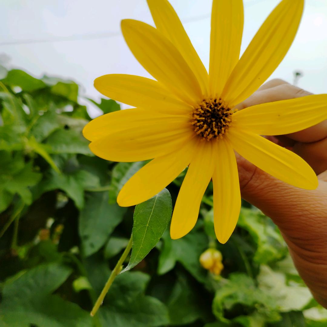 以后的以后