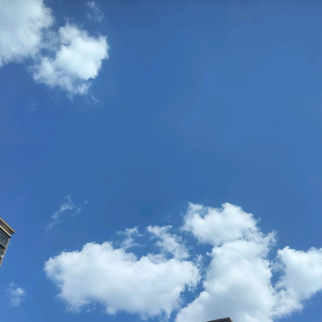 蓝蓝的一片云呀