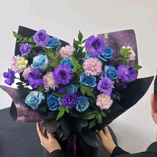 跟着燕儿姐学养花