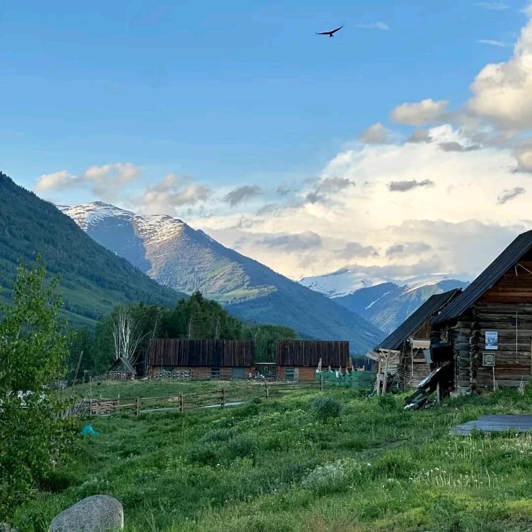 领队小牛🐮（组团中）