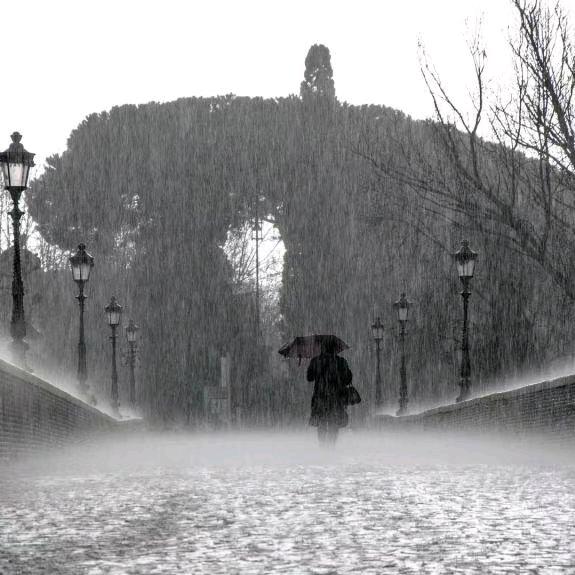 旧风雨故人《新时代独立男性》