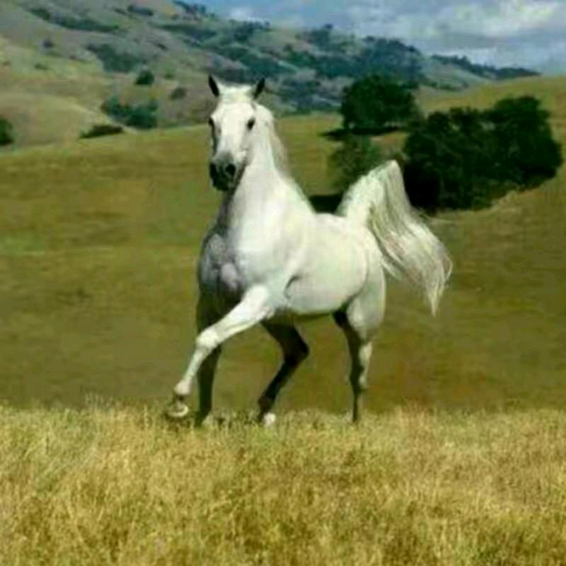 战神到了🇨🇳🇨🇳