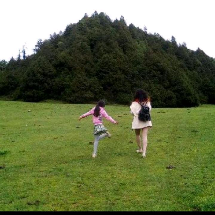 家