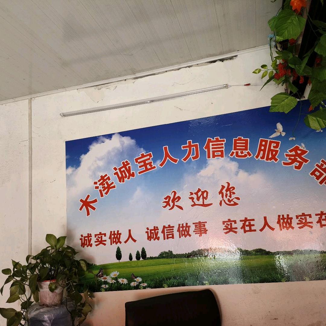 诚宝信息服务