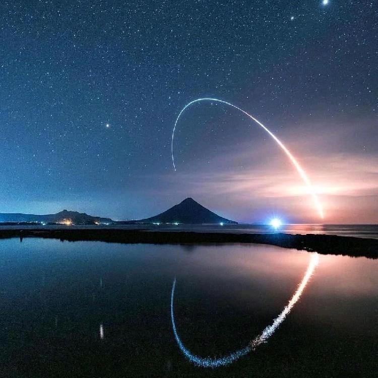麻辣狗头