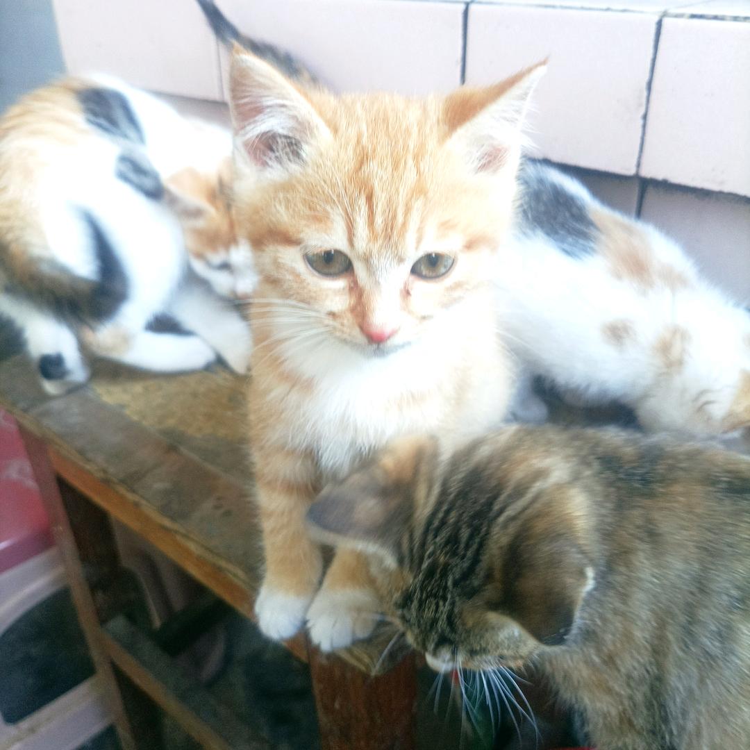 👑靖哥哥  ⁹²⁵⁷