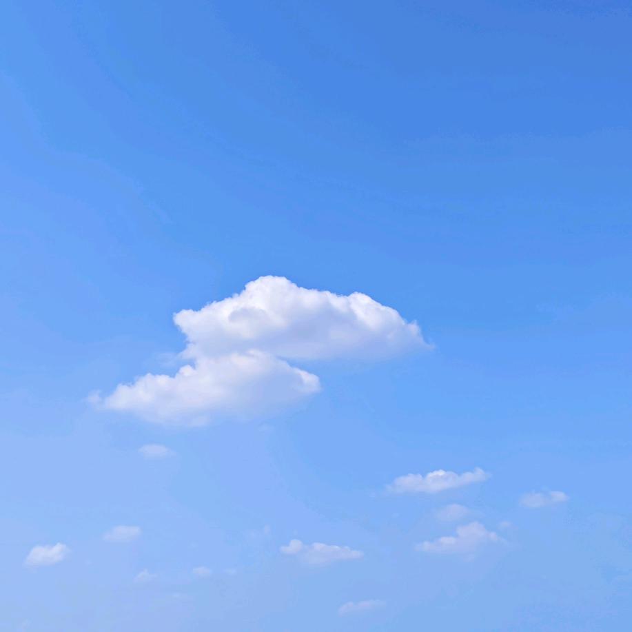 元