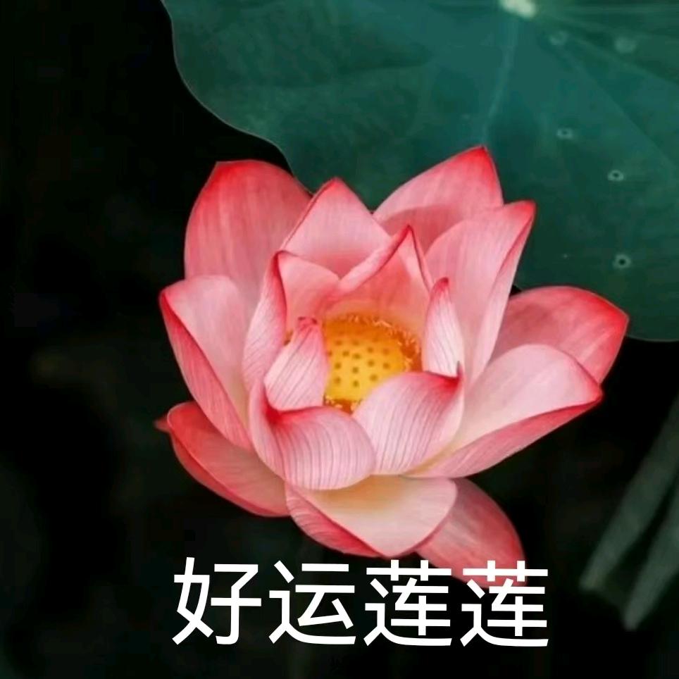 潮牌轻奢