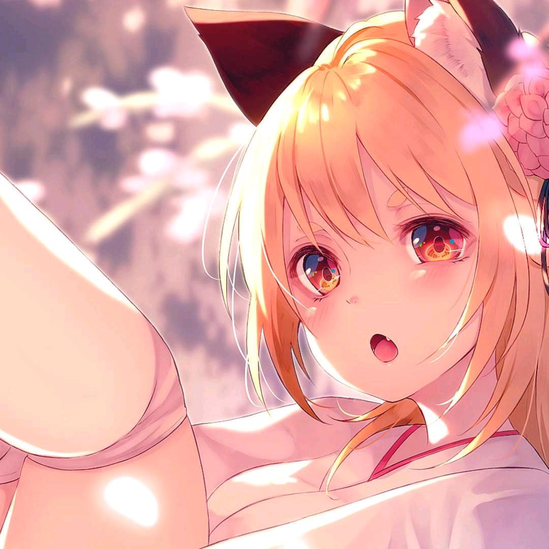 姬婳