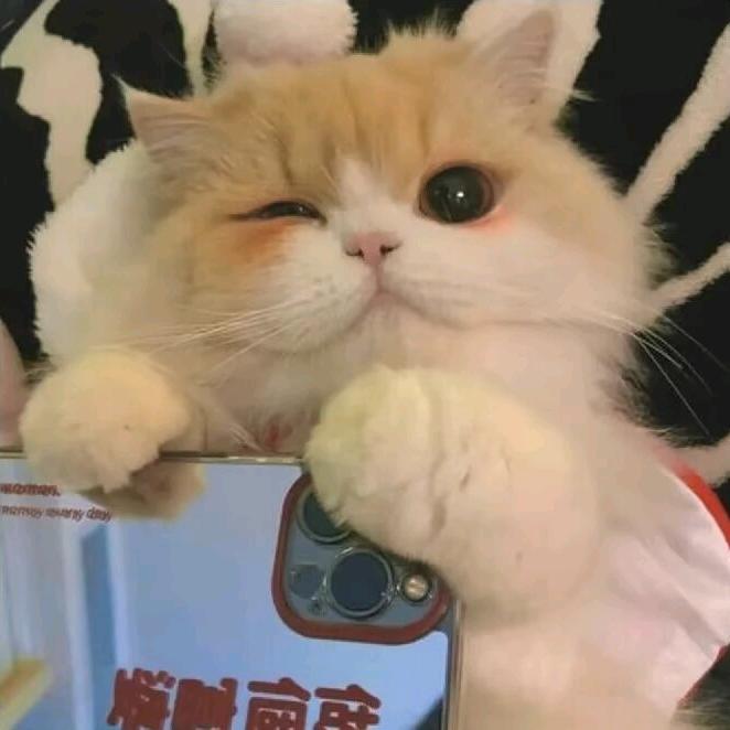暮夕