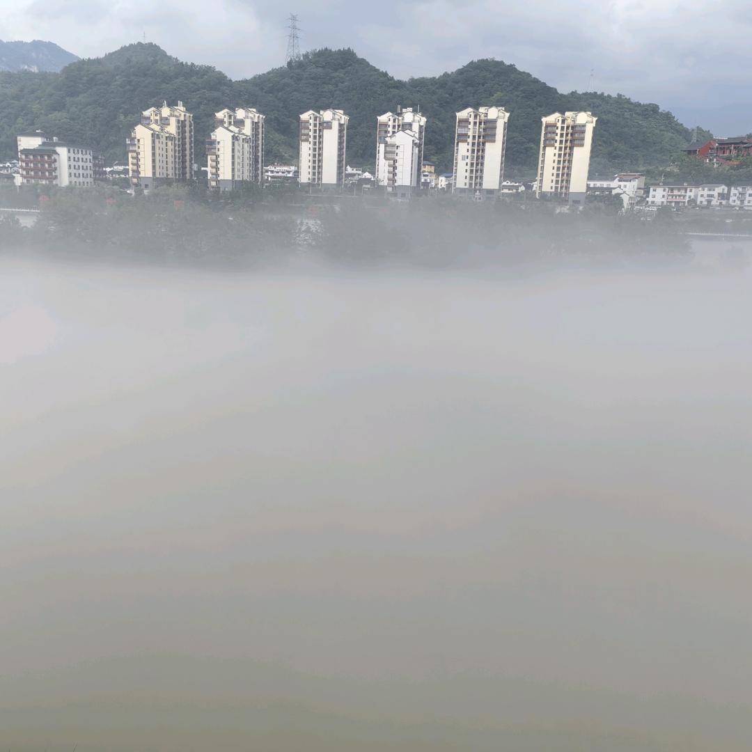 钱进钱进