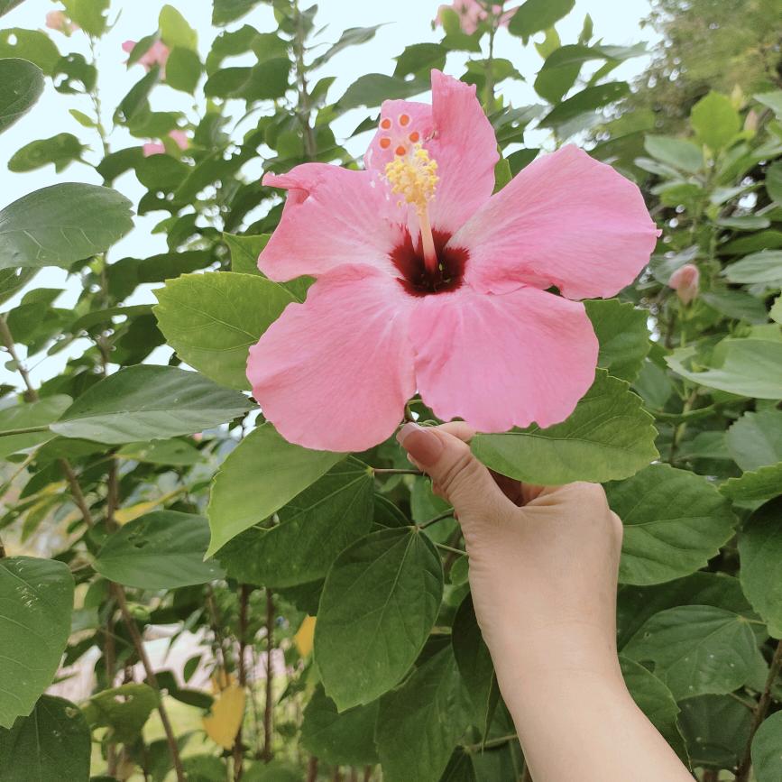 @《美好♥末来》