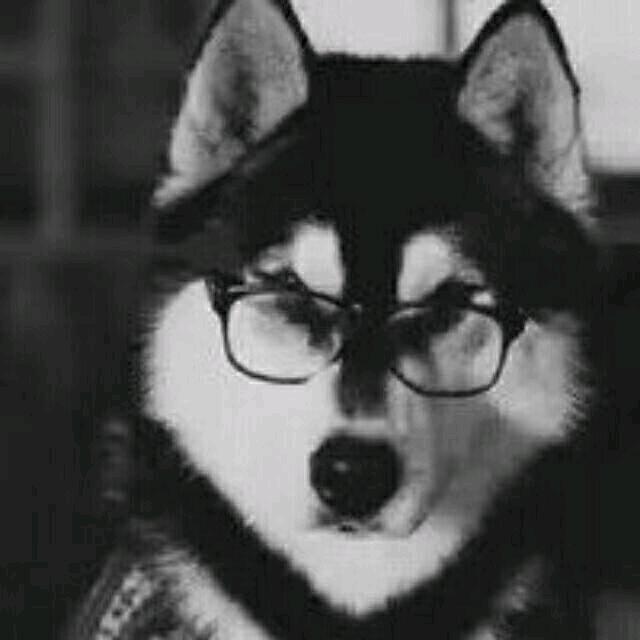 ￴  ￴￴￴ ￴￴ ￴ ￴￴