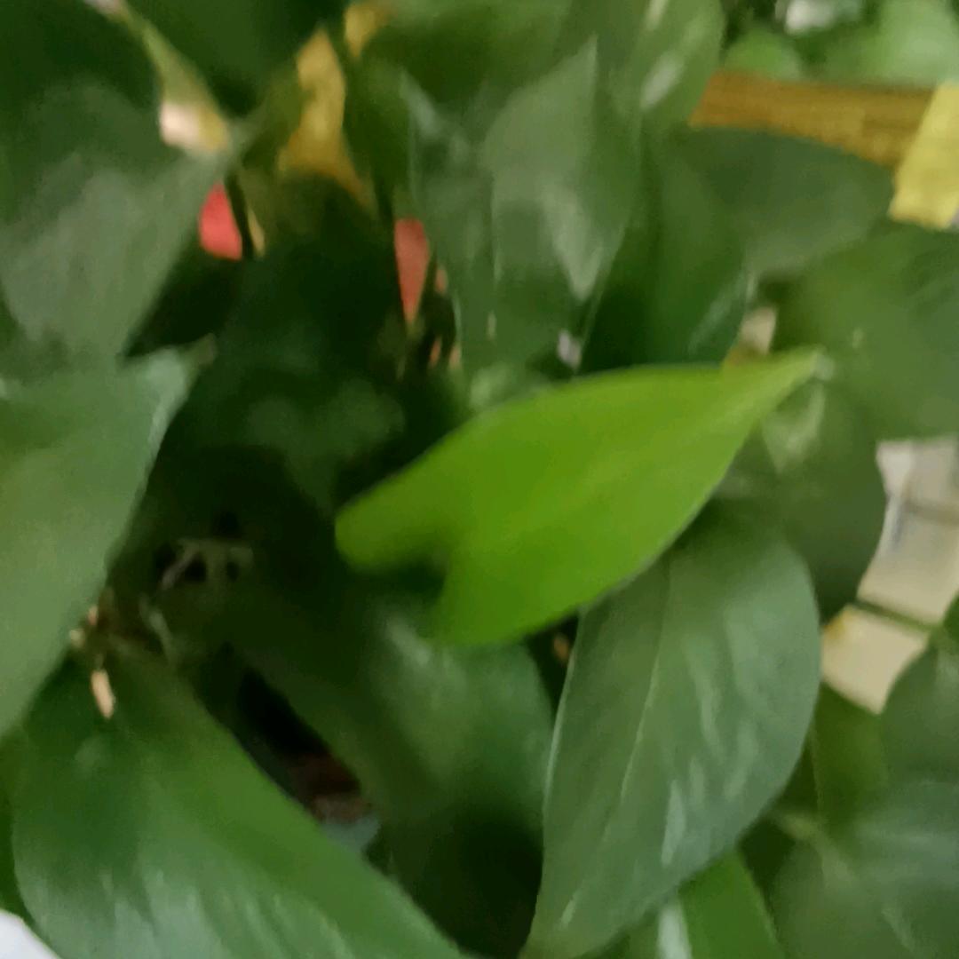 你说我期末