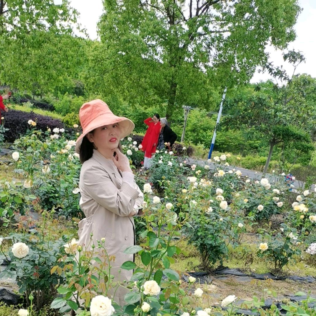 ❤️晨晨（创业）❤️