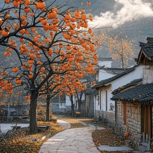 এ᭄辷樣乜不錯