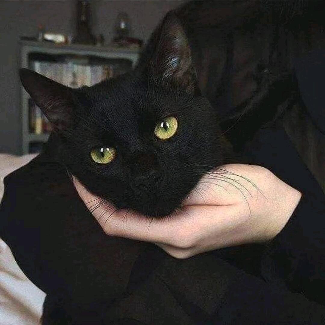 󠀀󠀀ㅤ