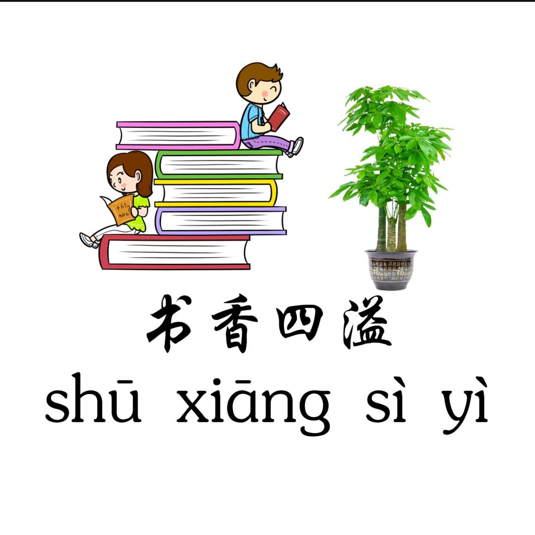 书海漂流者