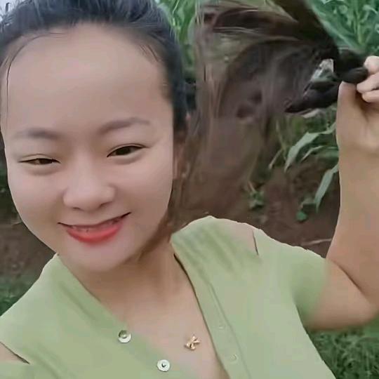 爱你无悔