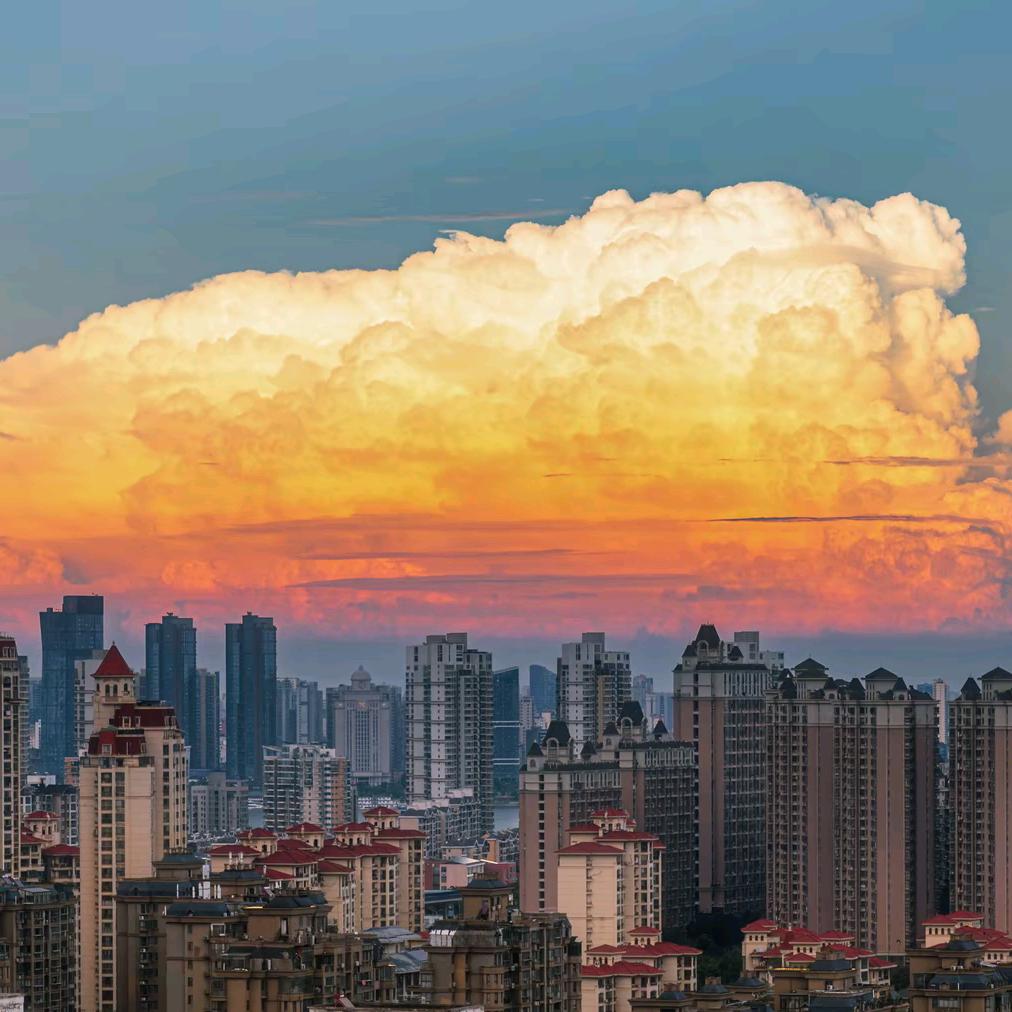 白小白,