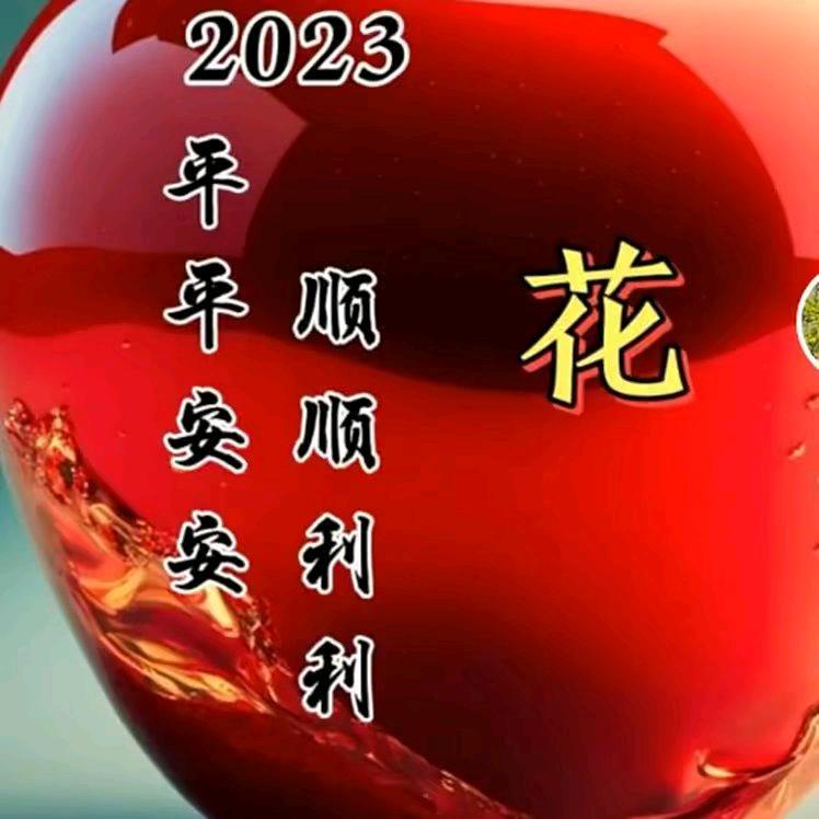 与我同在