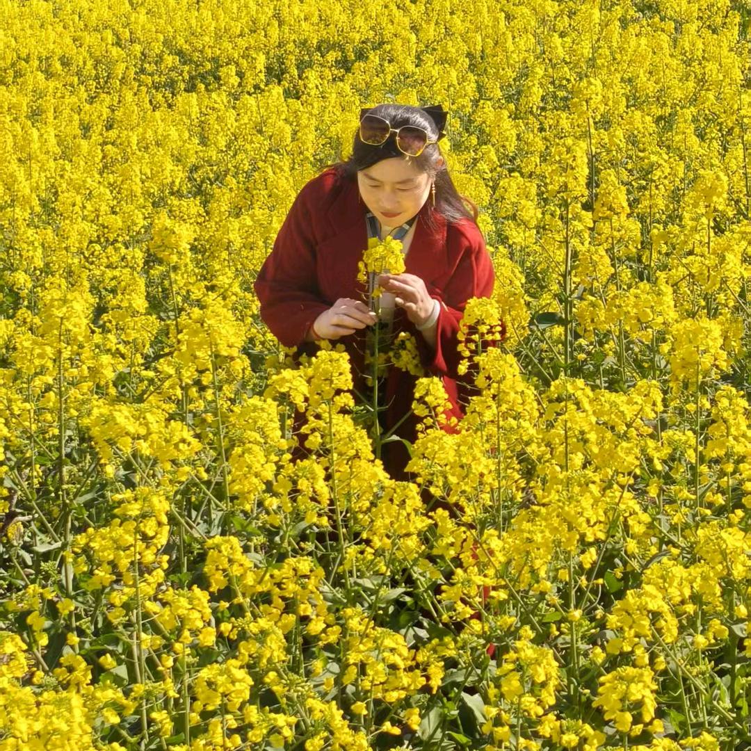 美美
