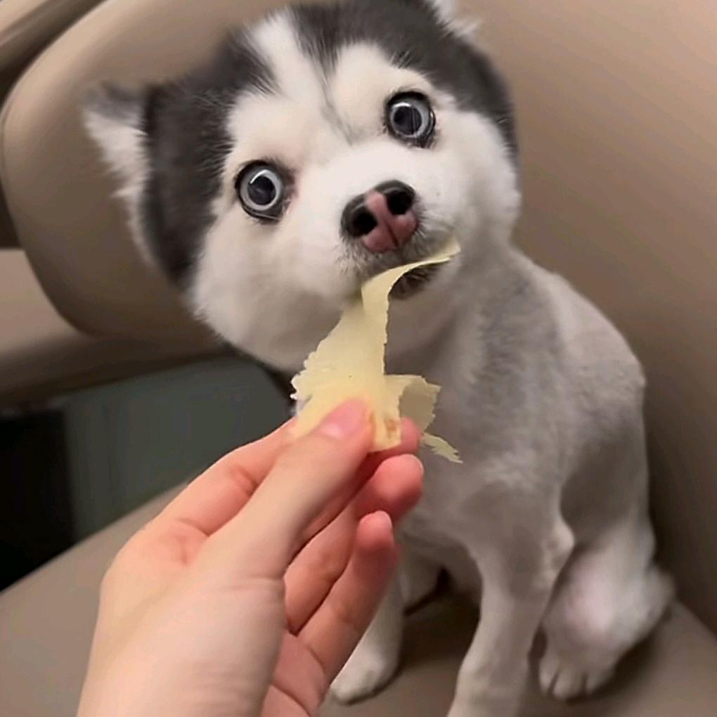 阿炫特别炫酷的炫 ⁸⁸⁰⁸⁰