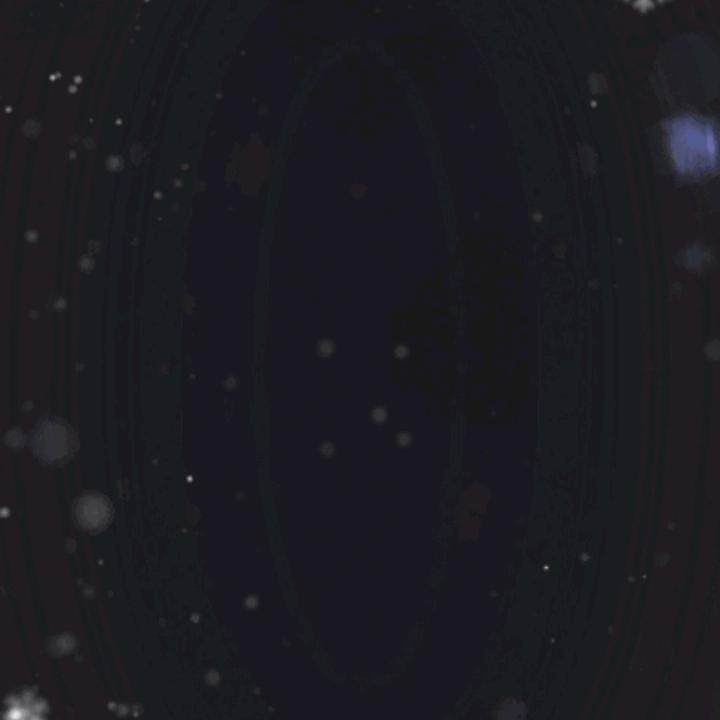二爷
