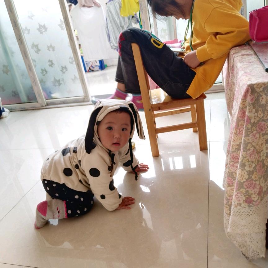 杨贵