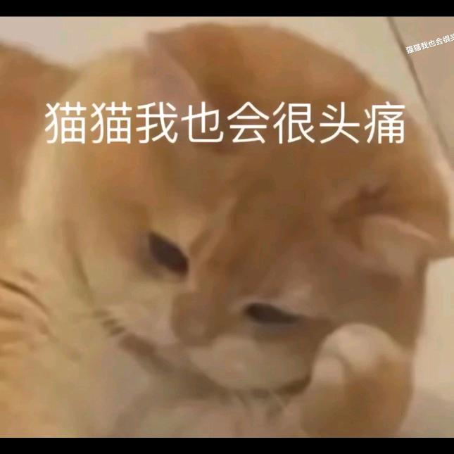 丁桂香