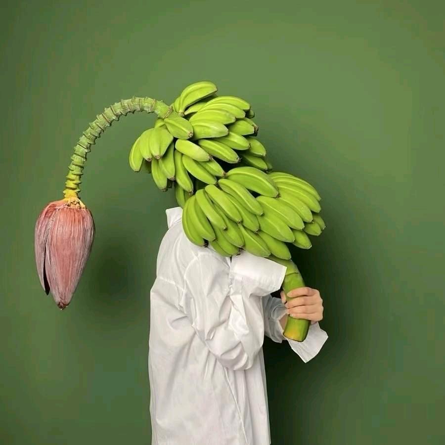 🌵  胡图图   ੭ﾞ