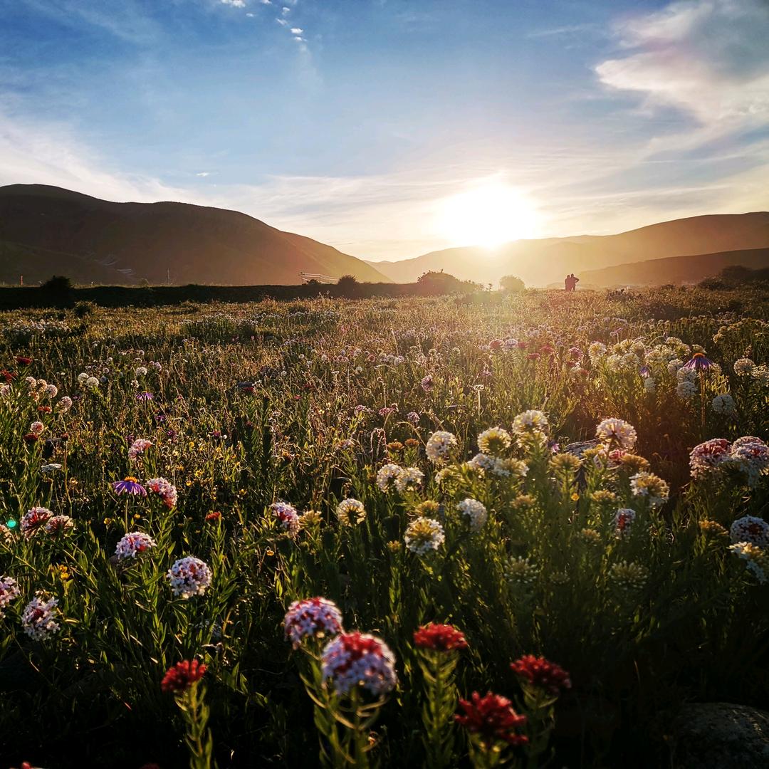 相逢何必曾相识，