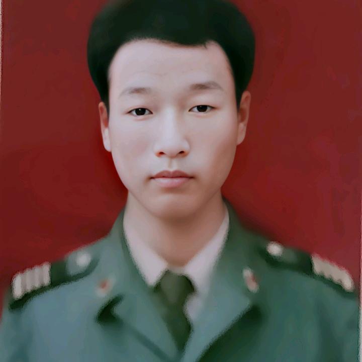 简单梧桐树