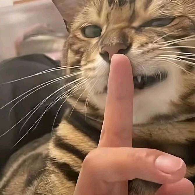 琛弟弟
