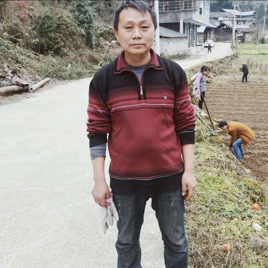 侯泽