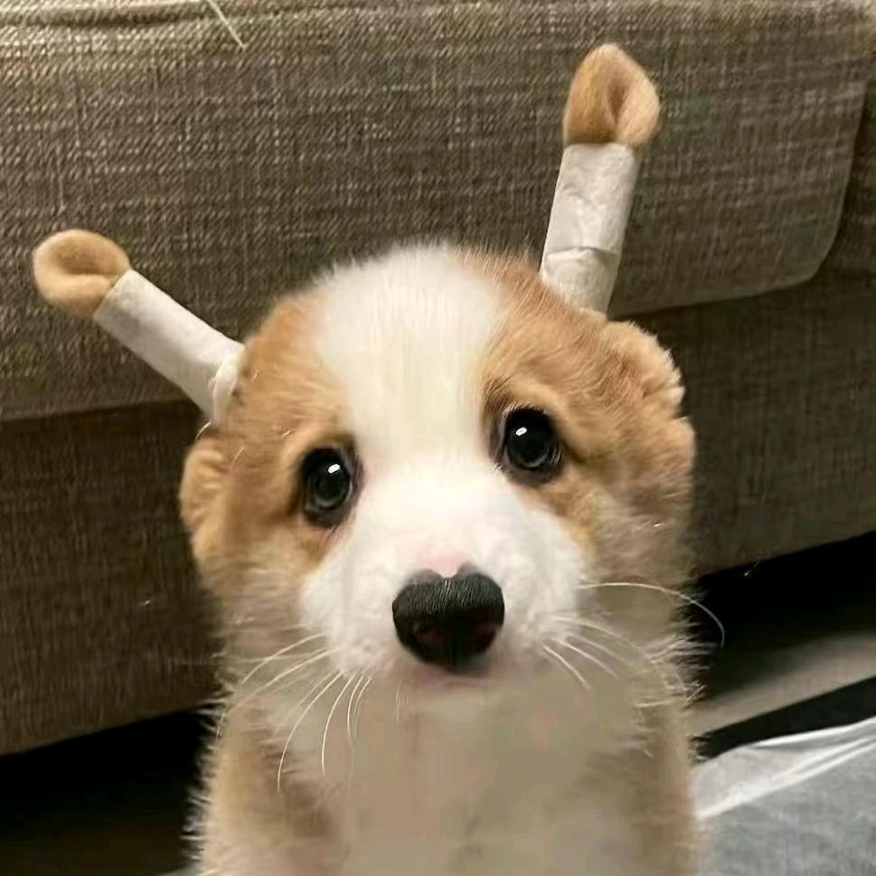 好运加满⁺¹⁰⁰