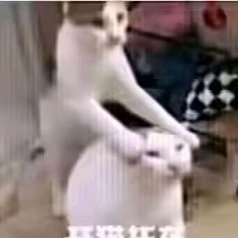 华𢦏