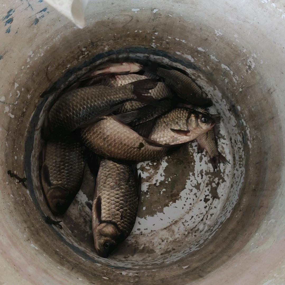 焊机维修，销售，回收