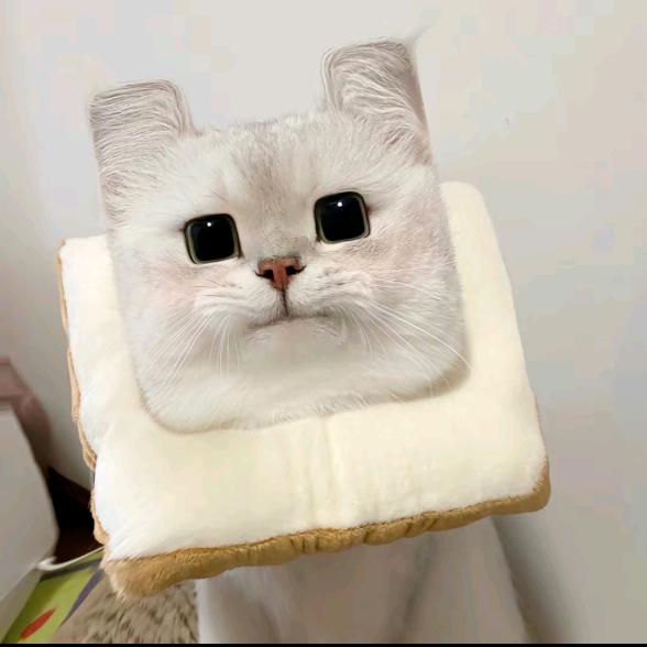 零食嘴儿
