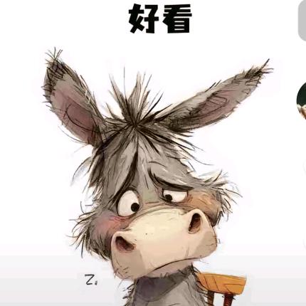 倔强的二哈