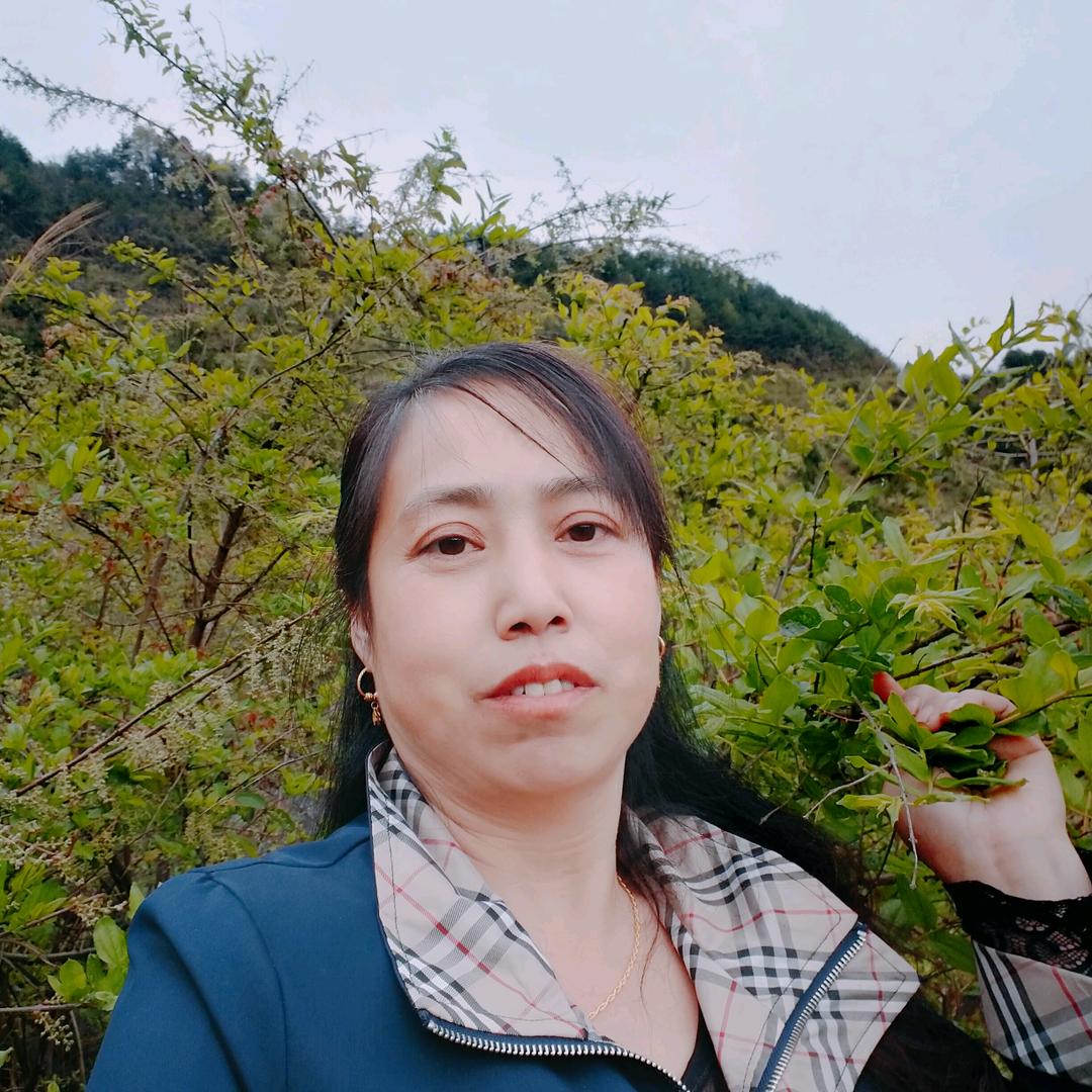 好运来