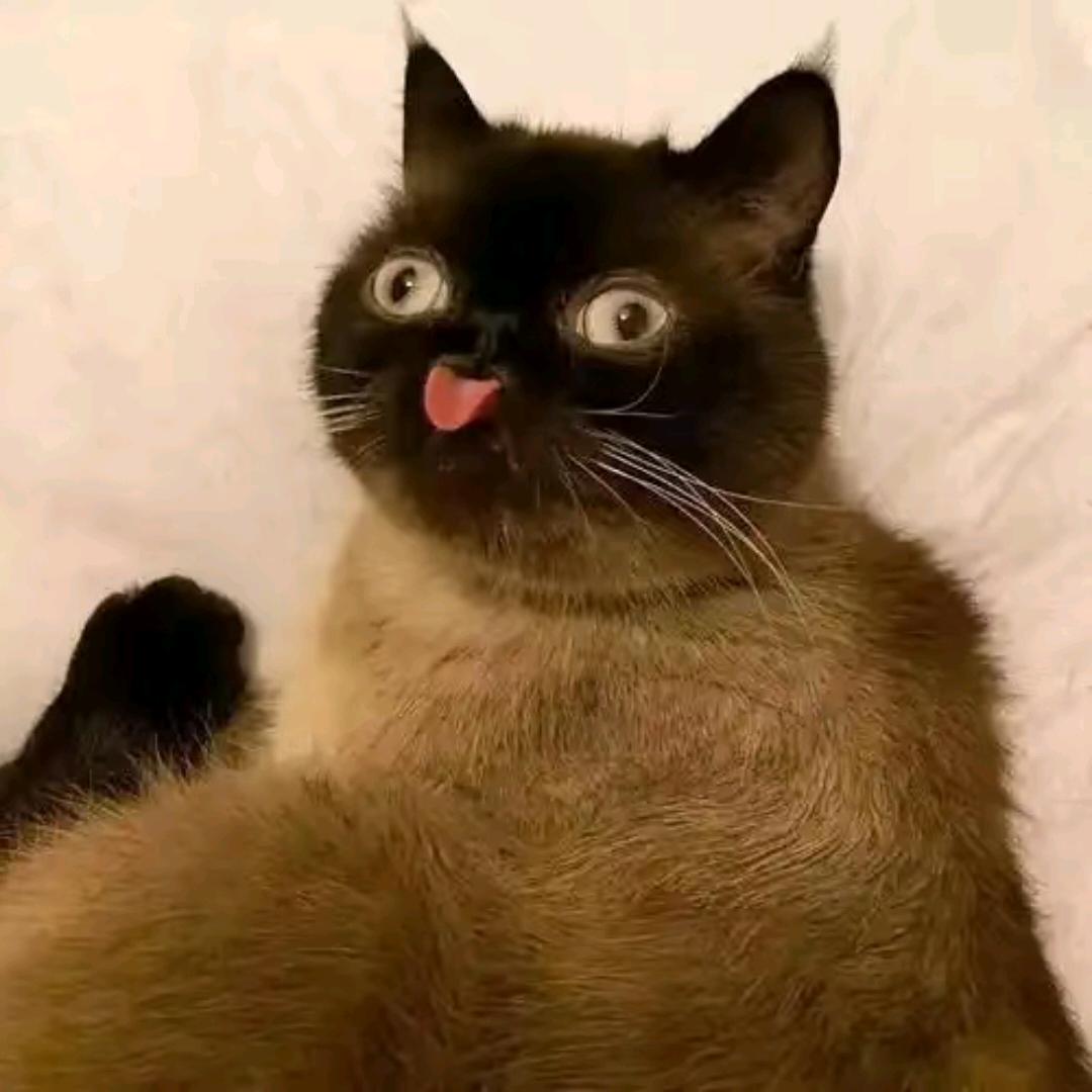 闻熹