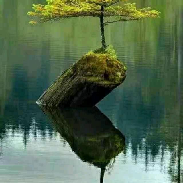 哪年春天那遍海