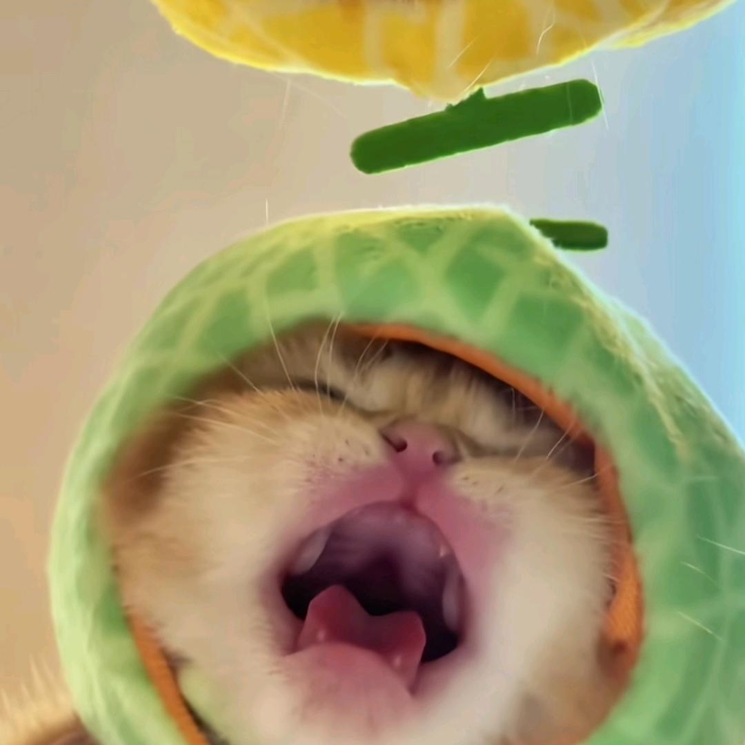 吴二蛋🍞.