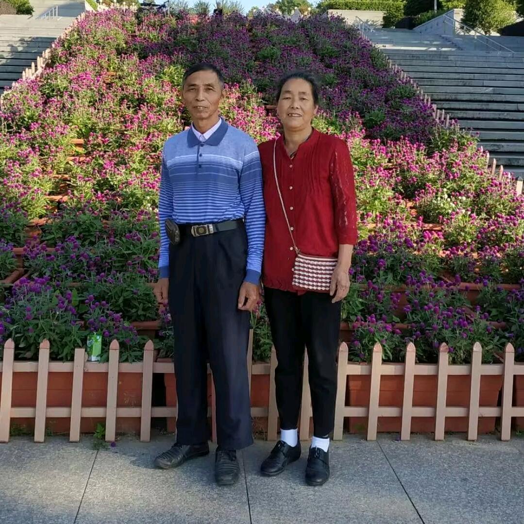 弓长张