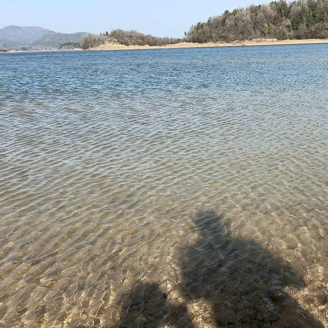恶龙咆哮