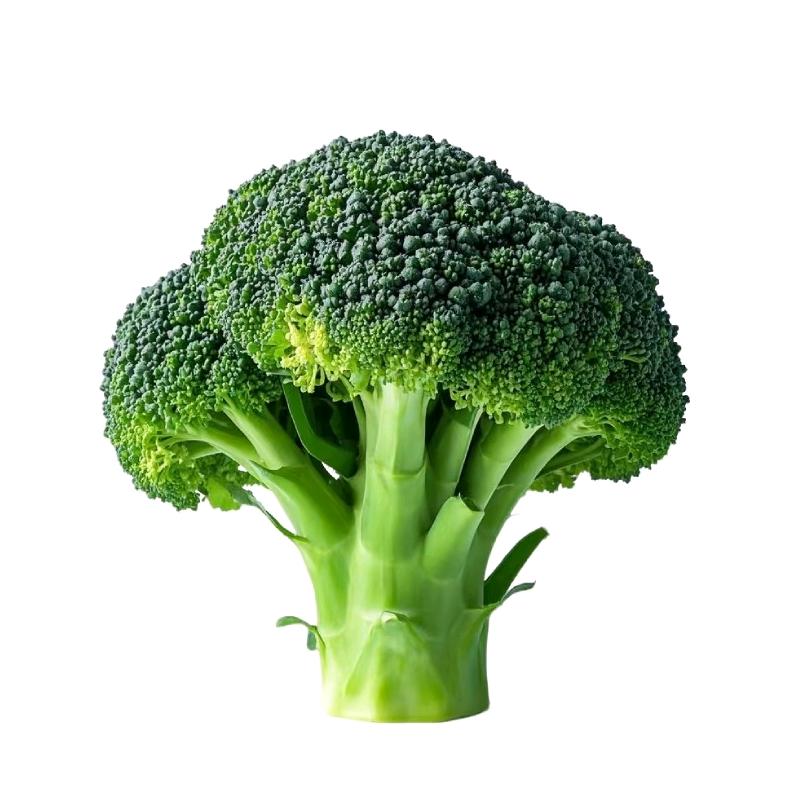 飞鱼罐头