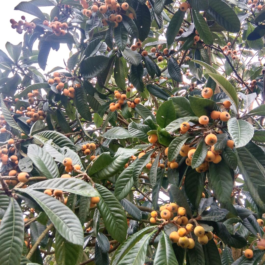 爱了就要用真心去爱她