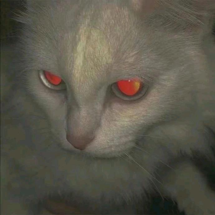 ꒦ິ