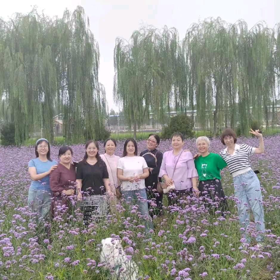 邯郸道尧舜之风文化艺术工作室